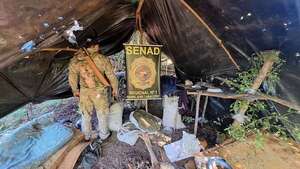 Amambay: desmantelan campamento narco en Cerro Corá y erradican 24 toneladas de marihuana - Policiales - ABC Color