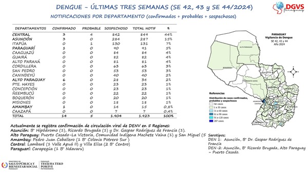 Alto Paraná sigue en alerta por dengue y en el país ya se registraron 14 positivos - La Clave