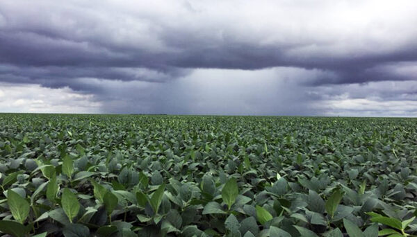 Pronóstico agrícola indica escenario favorable de lluvias para el campo