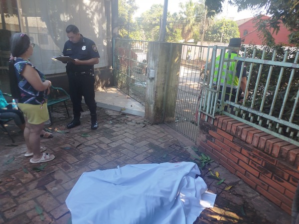 Podaba un árbol de mango, cayó desde unos 15 metros y falleció - 1000 Noticias