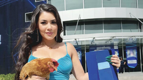Hortensia es la primera animal influencer del país y cobra platal