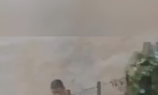 (VIDEO)Imágenes sensibles: Infeliz fue grabado mientras abusaba de una perrita