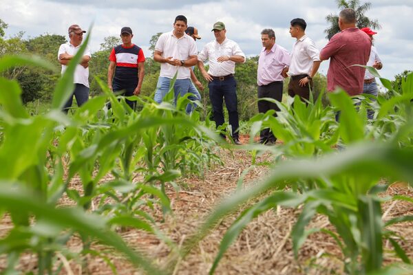 Apoyo a pequeños productores: por una agricultura familiar competitiva en el ámbito internacional • PARAGUAY TV