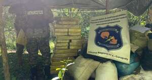 Diario HOY | En pleno bosque hallan e incineran más de 1.000 kilos de marihuana