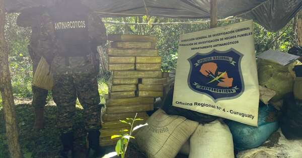 Diario HOY | En pleno bosque hallan e incineran más de 1.000 kilos de marihuana