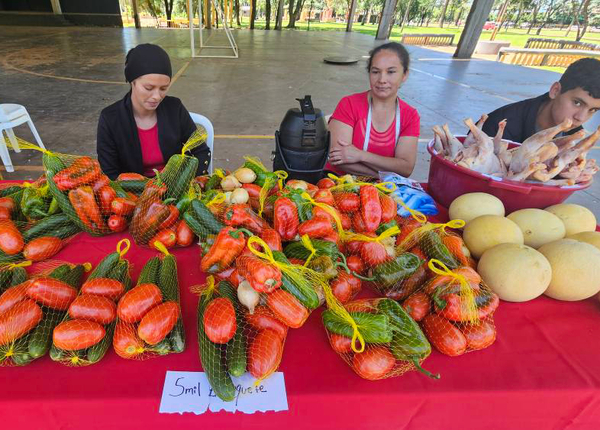 Hortigranjeros se fortalecen con feria en plaza de Yguazú - La Clave