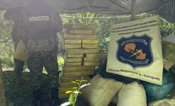 Desmantelan campamento con 1.300 kilos de marihuana en Canindeyú