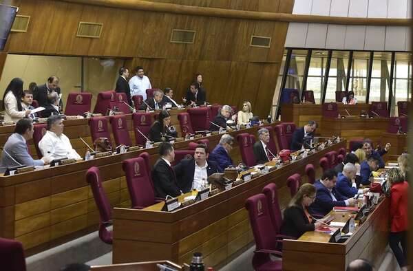 Diputados aprueba en general PGN 2025 - Nacionales - ABC Color