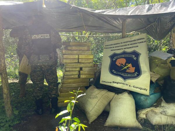 Incineran más de 1.000 kilos de marihuana en Curuguaty - 1000 Noticias