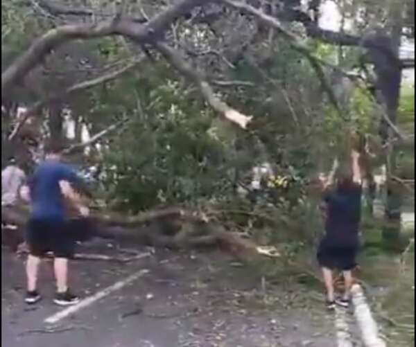 Video: militares cortan árbol caído por el fuerte viento con machete para despejar la avenida General Santos - Nacionales - ABC Color