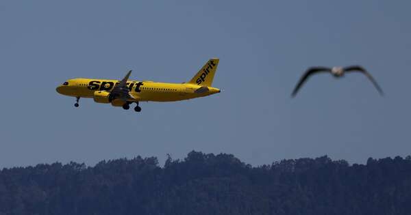 La Nación / Violencia en Haití: disparan a avión de EE. UU. que estaba aterrizando en el aeropuerto