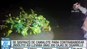 ¡Insólito! Se disfrazó de camalote para traficar cigarrillos