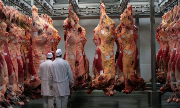 Bolivia: ganaderos alertan desabastecimiento de carne