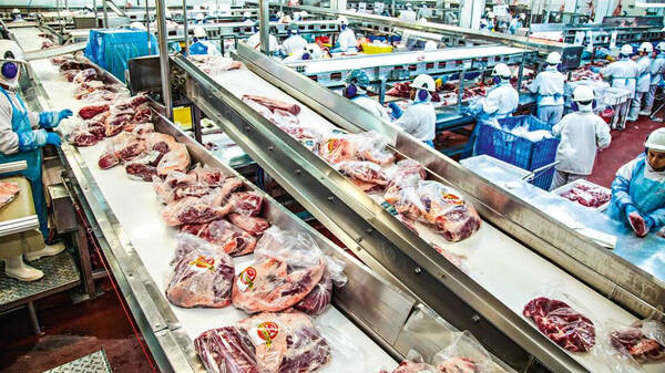 Con 319.386 toneladas, los envíos de carne brasileña alcanzan un nuevo récord de crecimiento
