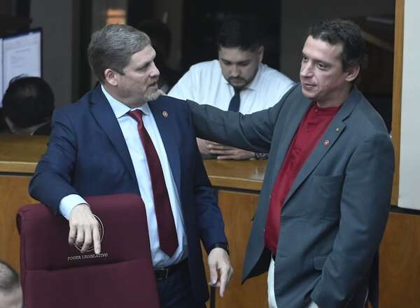 Ley de carrera civil: Chase ahora dice que el Congreso esta excluido de “forma parcial” - Política - ABC Color