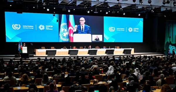 La Nación / La COP29 aprueba reglas para mercados de carbono