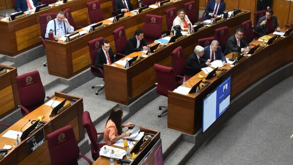 Cartismo reafirma excluir a la CSJ y Congreso de ley de Función Pública