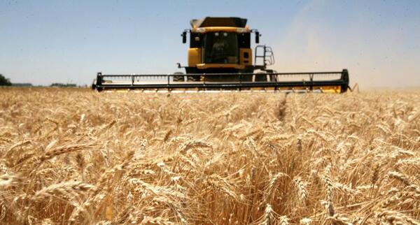 El sector agrícola ocupa el 17% del total del sistema bancario