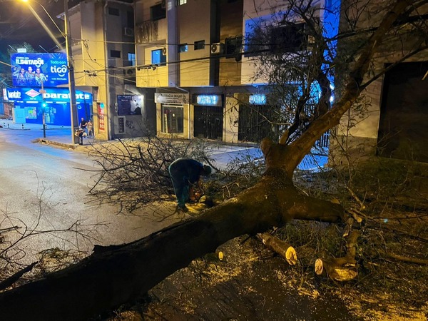 Ráfagas de viento alcanzaron los 100 km/h en algunos puntos - 1000 Noticias
