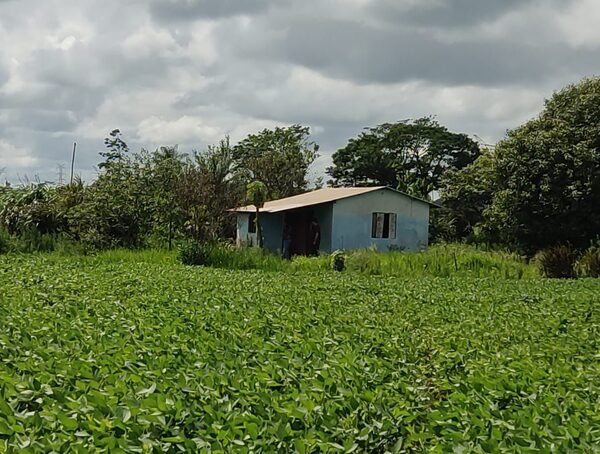 Hallan vivienda utilizada para el cautiverio de Silvio Fiedler · Radio Monumental 1080 AM