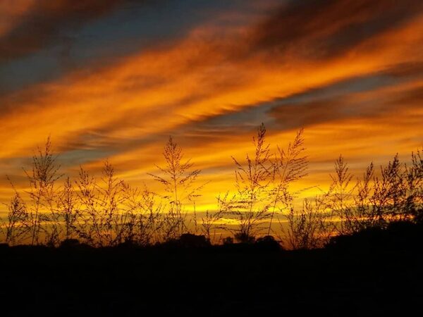 Amanecer fresco durante los próximos días