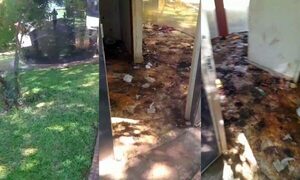 Casetas municipales de seguridad en el ex aeropuerto, abandonadas y llenas de mugre – Diario TNPRESS