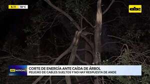Loma Pytã: vecinos denuncian falta de respuesta tras corte de energía eléctrica y cables sueltos  - ABC Noticias - ABC Color