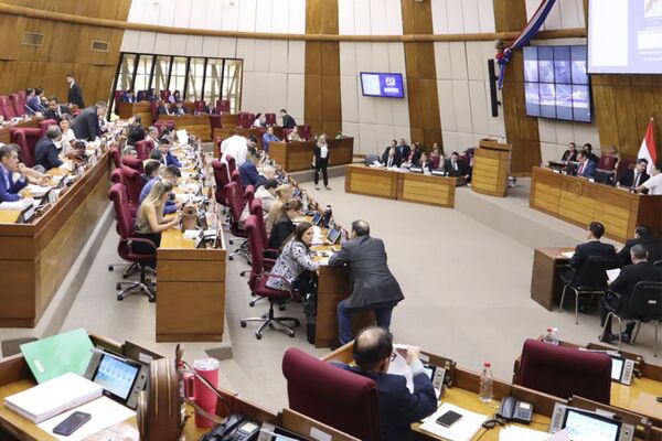 Diputados aprobó el PGN 2025, teniendo como prioridad Salud y Educación - trece