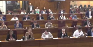 Diputados dan luz verde a “nepobabies” y vales para combustible - Noticiero Paraguay