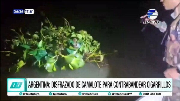 Disfrazado de camalote intentó contrabandear cigarrillos y lo detuvieron
