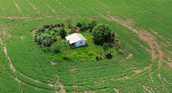 Hallan vivienda donde tuvieron secuestrado a colono brasileño en Alto Paraná - Noticiero Paraguay