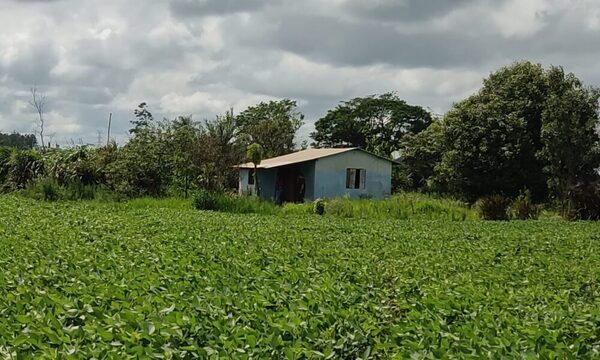 Allanaron vivienda donde estuvo secuestrado colono en Itakyry