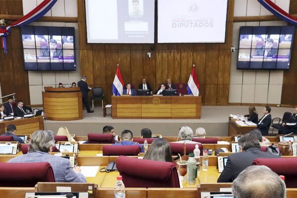 Media sanción al PGN 2025: Diputados rechaza reasignación del seguro médico