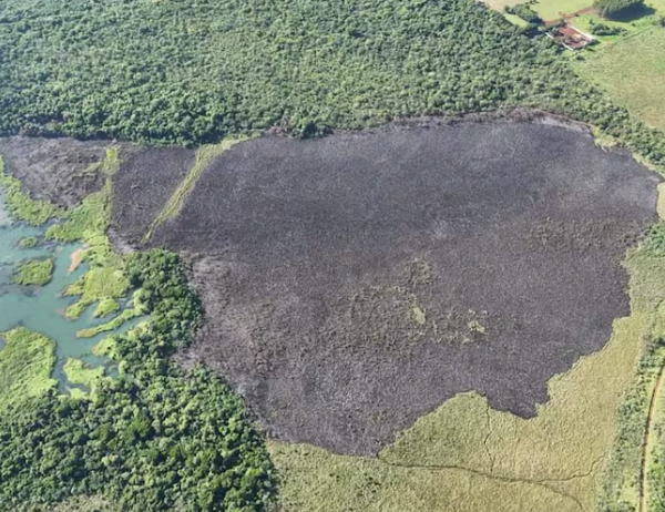 Incendio destruye 30 hectáreas de reservas naturales en Alto Paraná