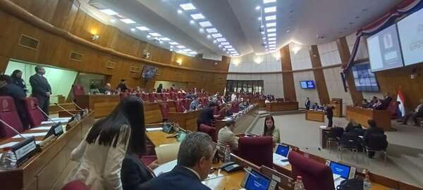 Diputados insisten en crear comisión para investigar muerte de Lalo Gómes - Política - ABC Color