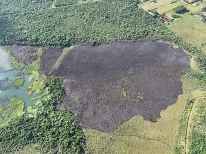 Incendio forestal consume 30 hectáreas de reservas naturales en el Alto Paraná - ABC en el Este - ABC Color