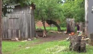 (VIDEO) Bebé de 1 año que cayó a un pozo ya está mejorando
