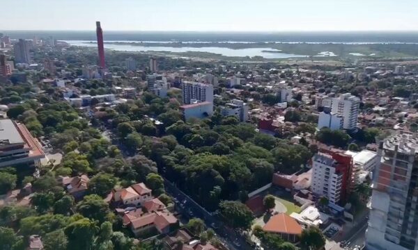 Nueva amenaza a bosques urbanos: vecinos de Las Mercedes claman auxilio