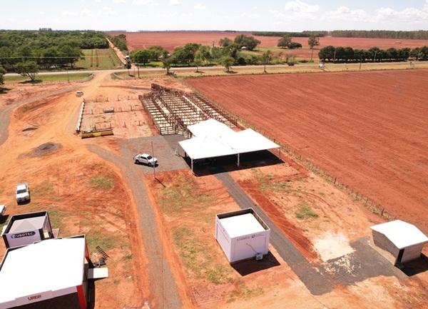 Feria San Pedro abre sus puertas con remate de reproductores, invernada y cría, este miércoles
