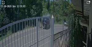 AUDIO: Accidente en ruta Luque- San Bernardino: Aguardan presencia de jueza  - Periodísticamente - ABC Color