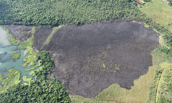 Incendio consume 30 hectáreas entre Tacurú Pucú y Tatí Yupí
