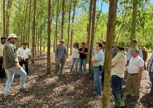 ARP Cordillera realizó un recorrido forestal - Economía - ABC Color