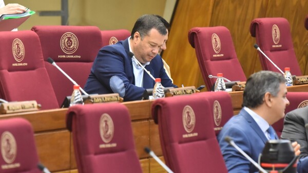 Diputados se llenan de privilegios y ganan millones, pero no sesionan