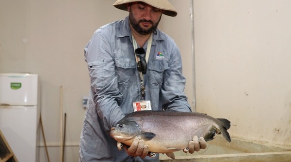 Binacional inicia la temporada de reproducción de peces para fortalecer fauna íctica
