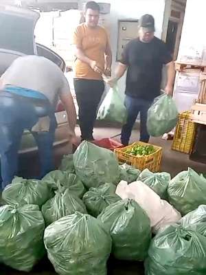 DNIT decomisa hortaliza y aplica multa a un horticultor de Yguazú - La Clave