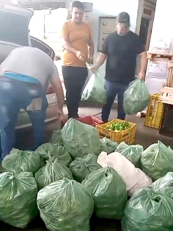 DNIT decomisa hortaliza y aplica multa a un horticultor de Yguazú - La Clave