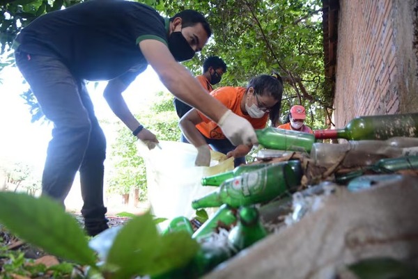 Comuna niega ayuda al SENEPA para reducir alarmante índice de infestación larvaria en CDE - La Clave