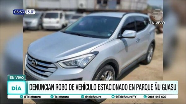 Fue a conocer el Ñu Guasu y le robaron el vehículo