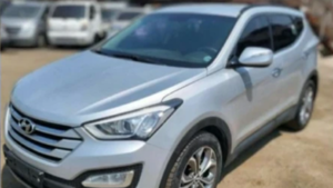 Una pareja fue a caminar al Parque Ñu Guasu y en 10 minutos le robaron la camioneta