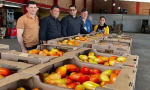 Productora de Alto Paraná exporta 28 mil kilos de tomate a Argentina